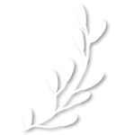 Olive Branch White